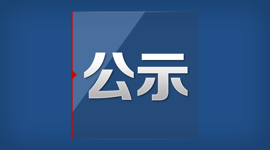 领导干部任前公示