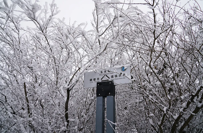 连云港，下雪了！