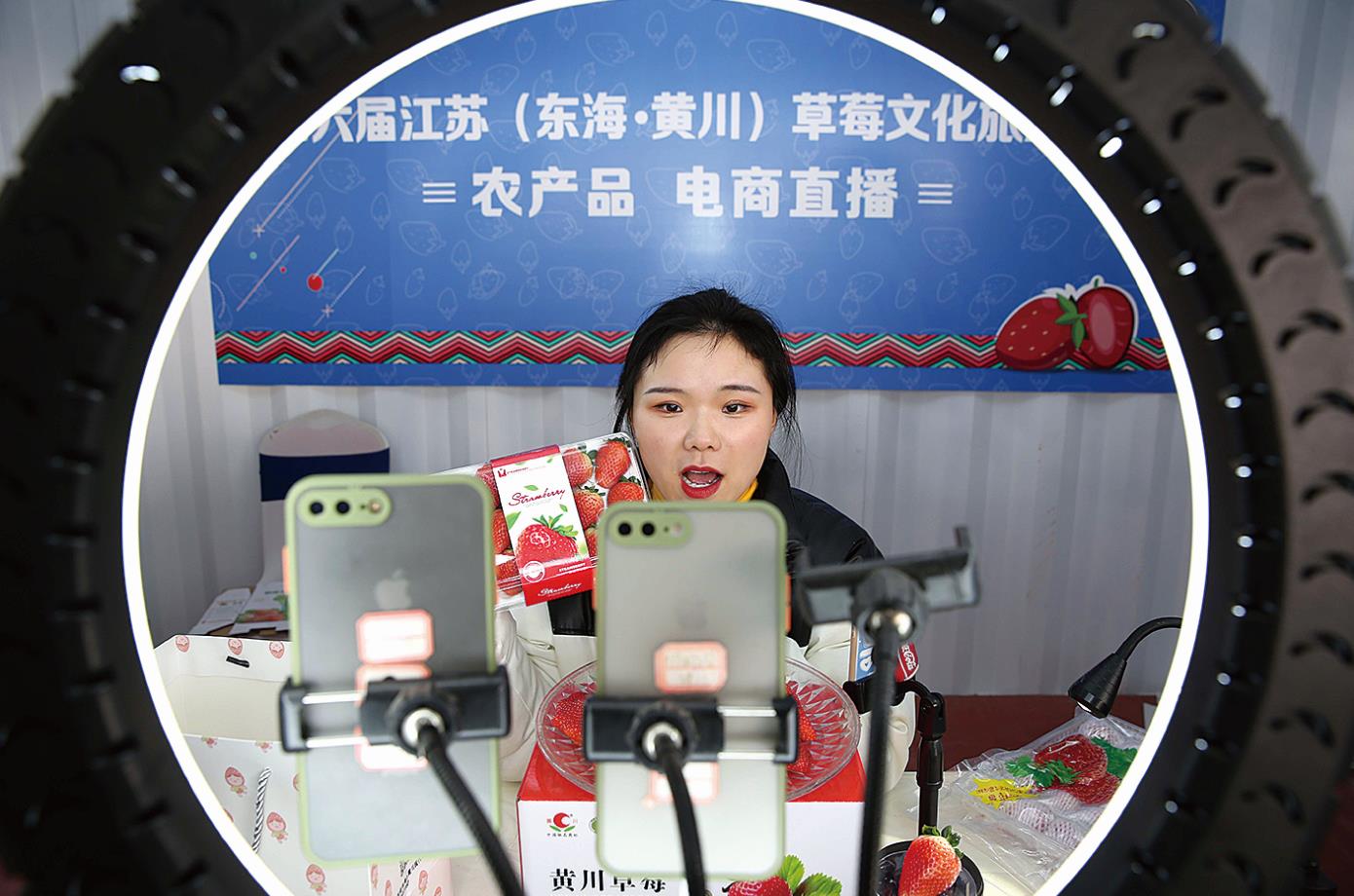东海黄川十里草莓经济观光带增加旅游收入过亿元
