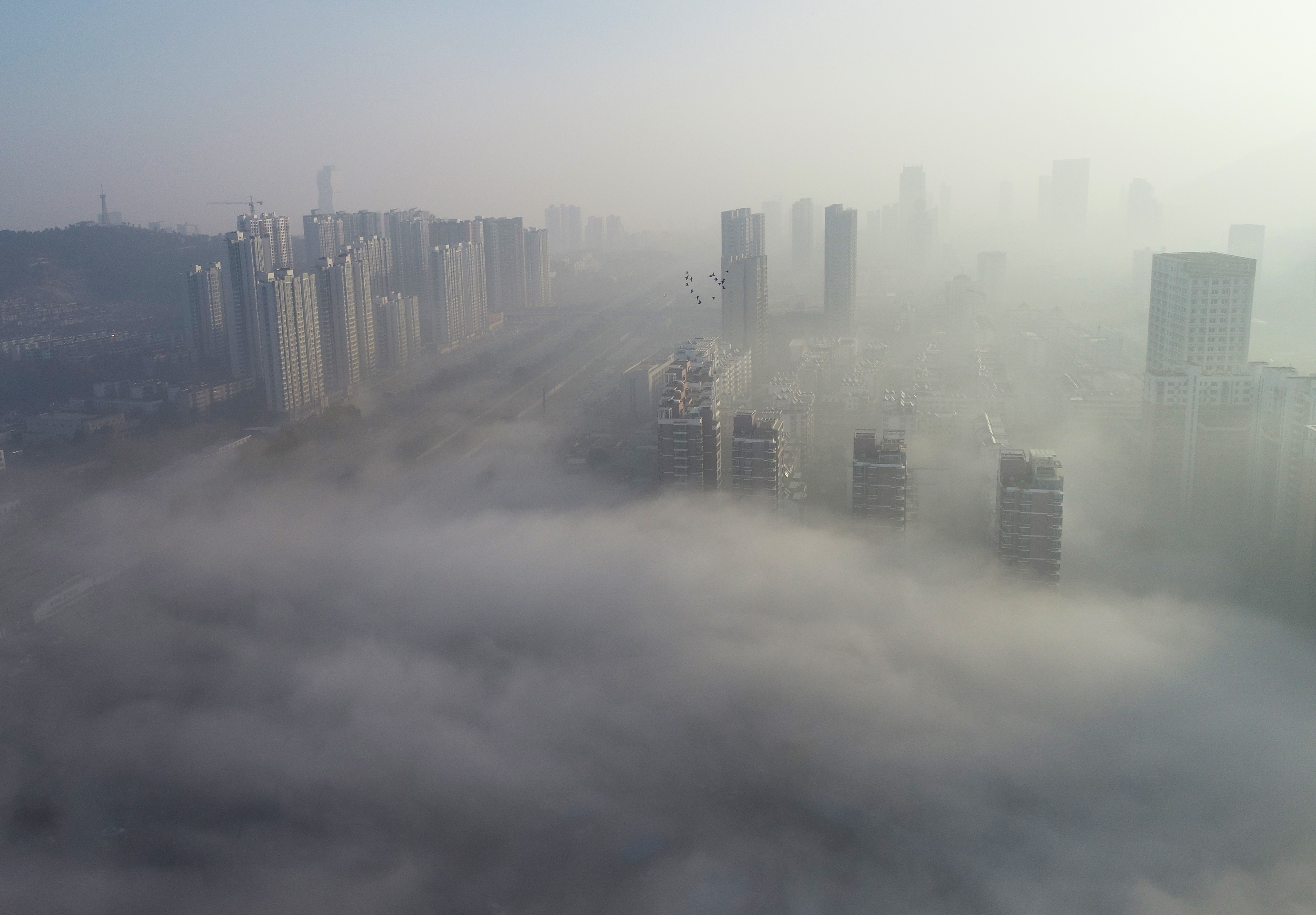 连云港东部城区现平流雾景观