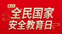 为建设社会主义现代化国家提供坚强安全保障（深入学习贯彻习近平新时代中国特色社会主义思想）