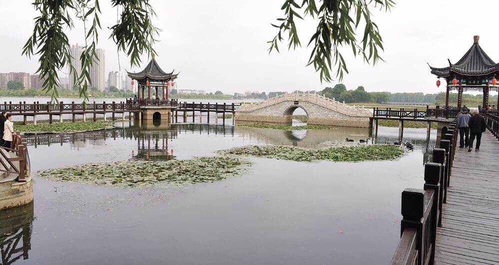 打造生态宜居家园