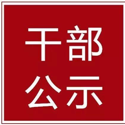 干部选拔任用公示-大丰新闻网