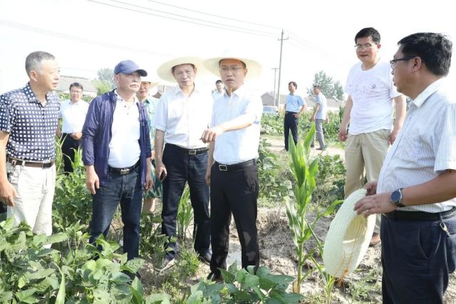 李志军调研农业农村工作时强调扛起粮食安全责任重抓112233工程不断