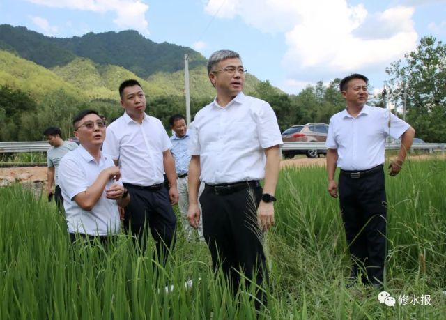 郑庆华深入黄坳庙岭督导防溺水和抗旱工作-修水新闻网