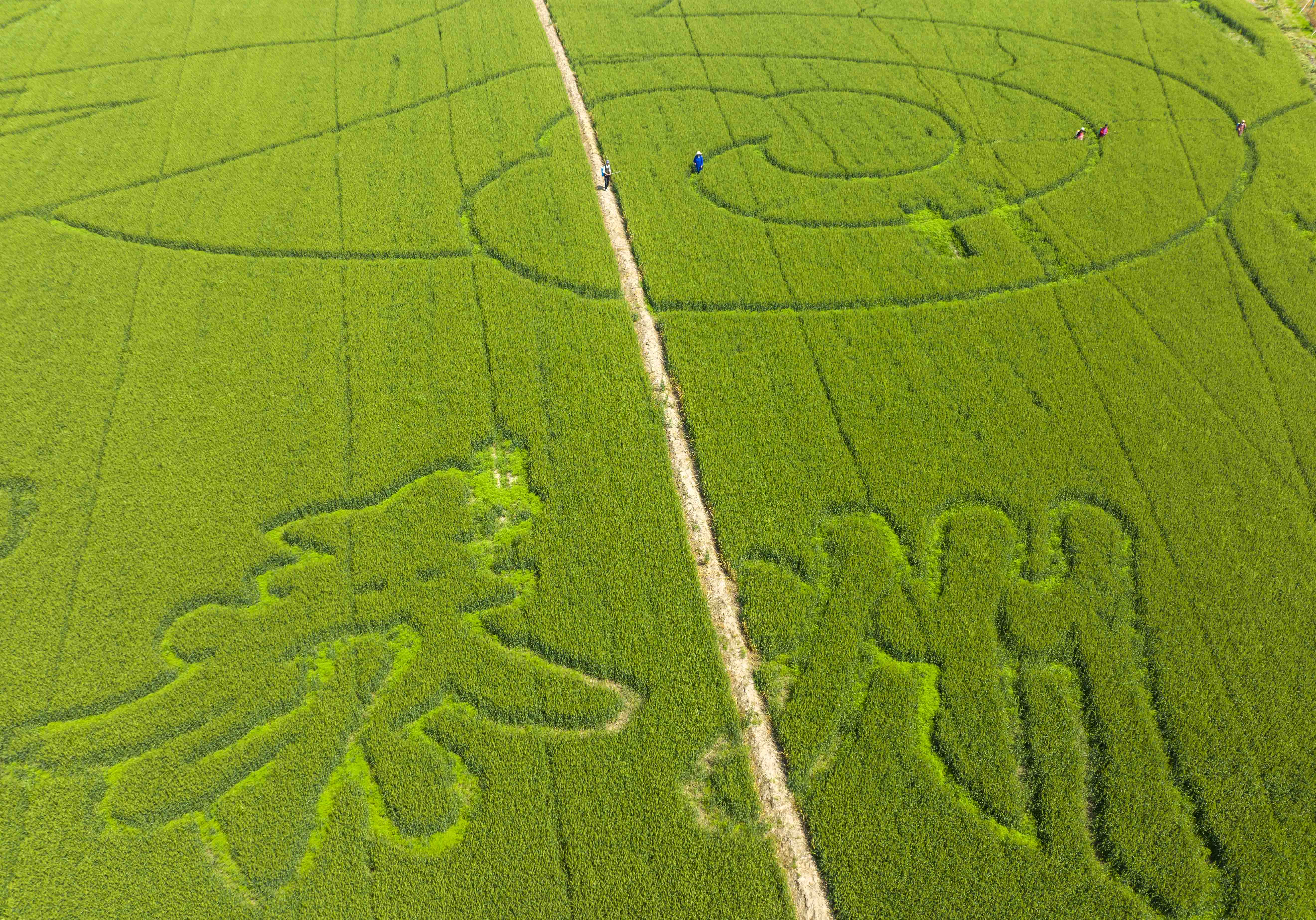 ̩�ݣ�?ji��n)ήa(ch��n)�����B�ڡ�����Ұ�L�S��