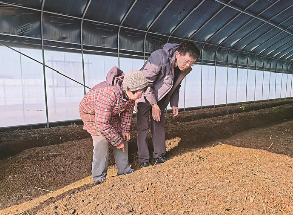 新春走基層 |滬上教授的“鄉(xiāng)村一日”