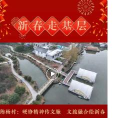 新春走基层｜陈杨村：水乡年味浓，硬铮迎新春
