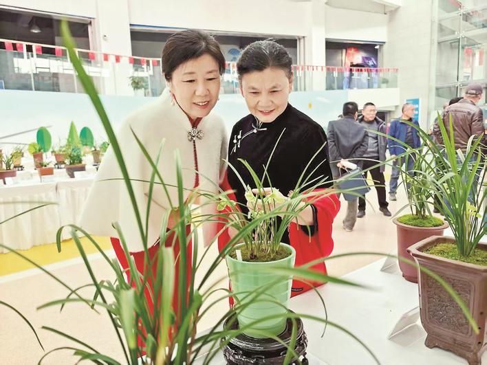 奔马献瑞 兰香泰州｜春兰精品赏花会举办

