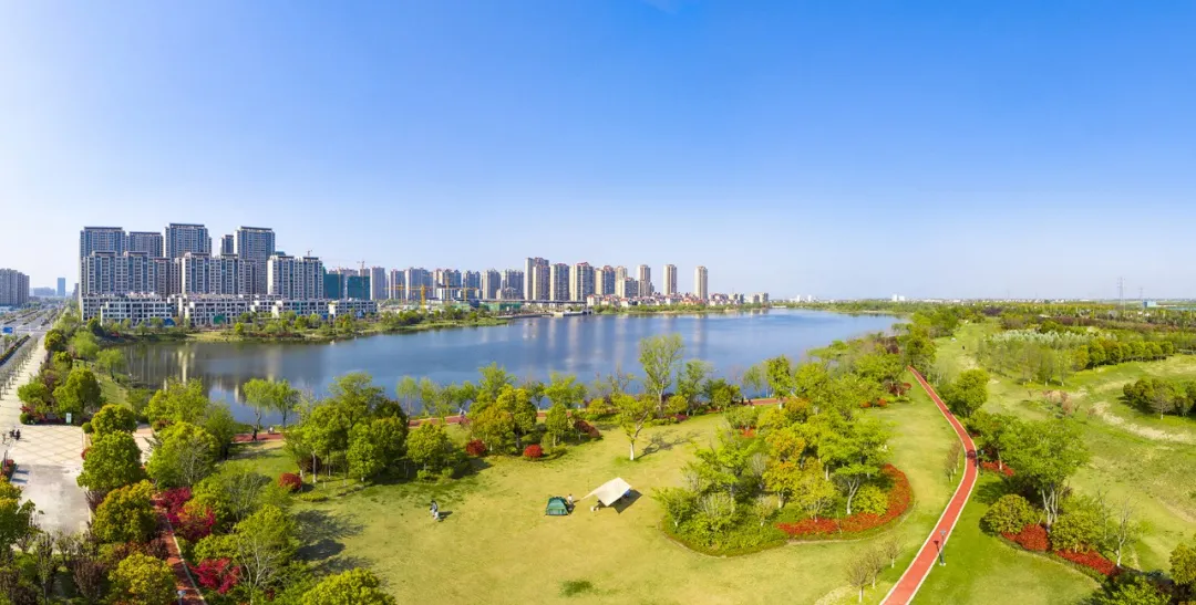 泰兴100公里幸福路，你走过吗？