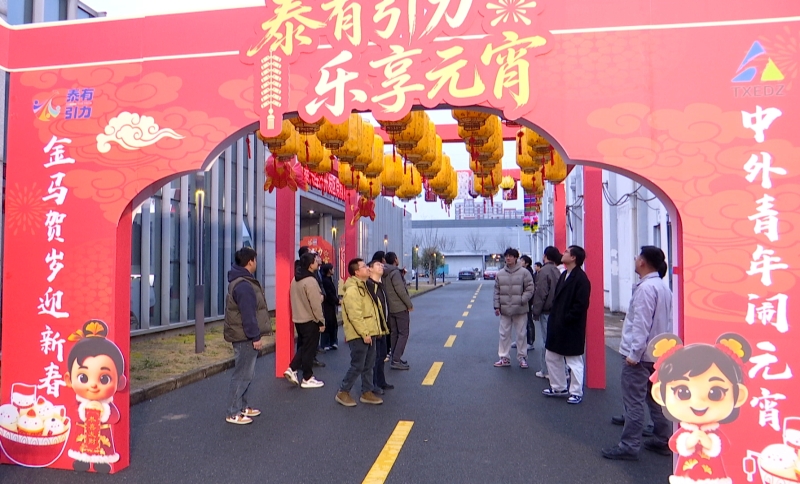 泰有引力 乐享元宵｜泰兴经开区举办中外人才嘉年华活动

