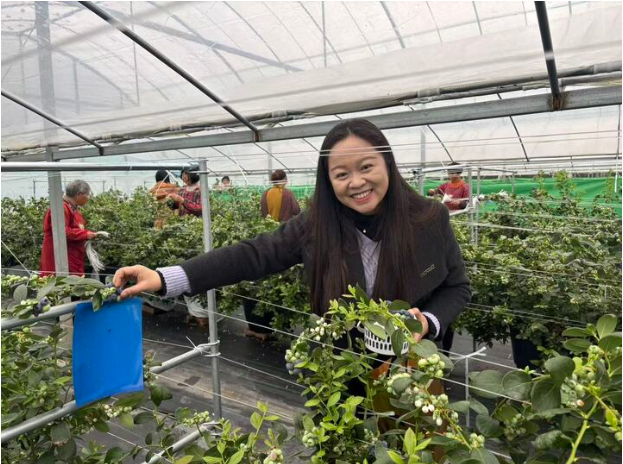 	
交汇点｜巾帼相约“莓”好时光，解锁泰州“她”节日的N种方式