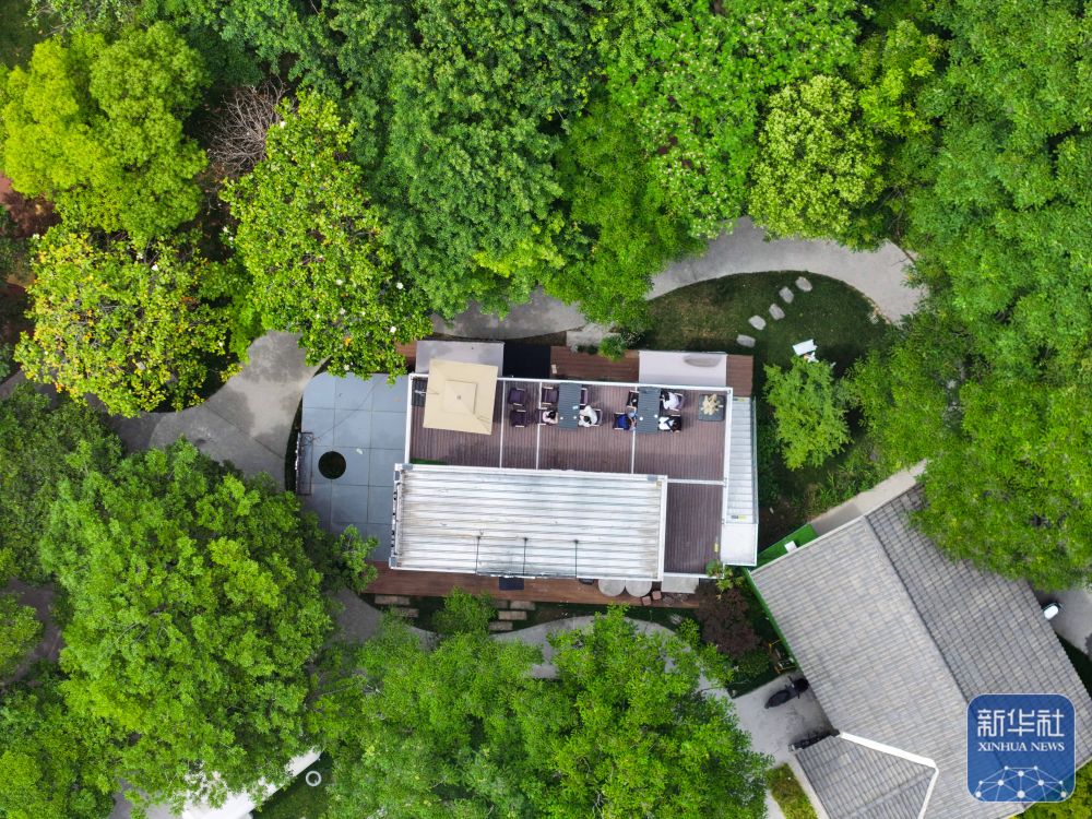 新华社 | 江苏泰州：建好“口袋”公园 提升居民幸福感