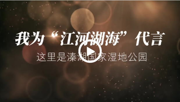 交汇点| 【我为“江河湖海”代言】（4）这里是溱湖国家湿地公园