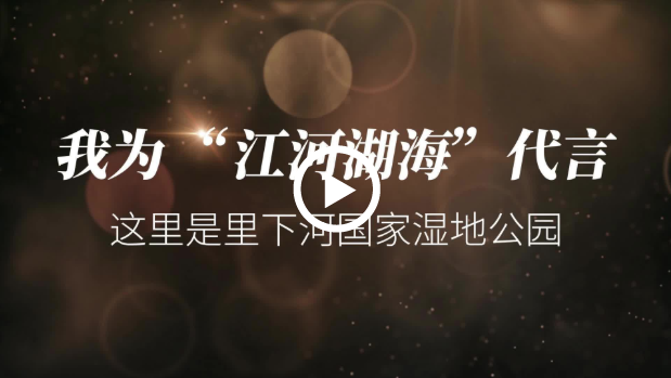 交汇点 | 【我为“江河湖海”代言】（3）这里是里下河国家湿地公园