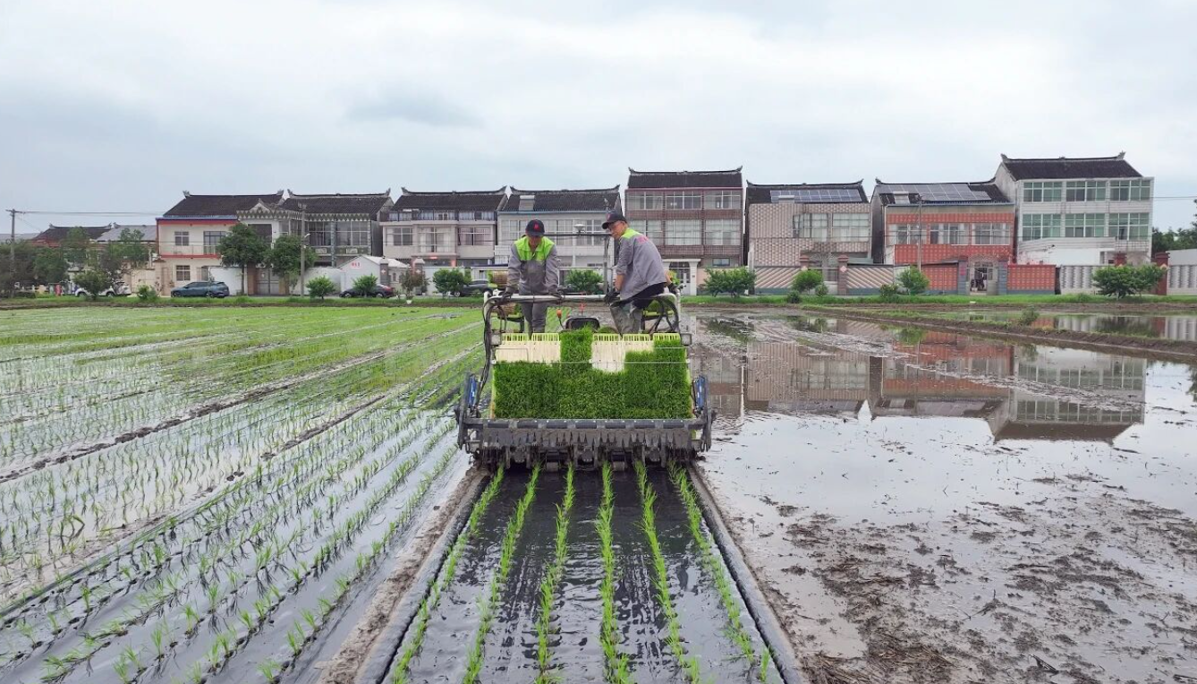 泰州：夏播尽显“科技范”