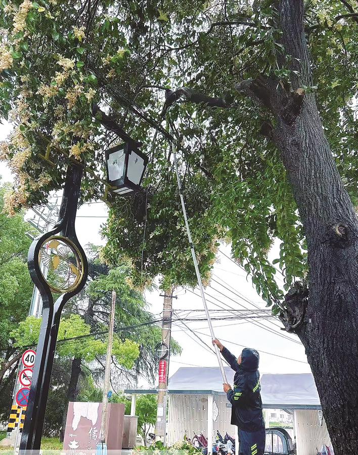 泰州： 暴雨来袭，多部门联动战汛情保民安 
