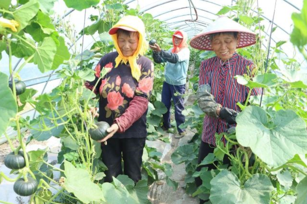 泰州姜堰：抢占市场先机！蹚出富民强村新路径