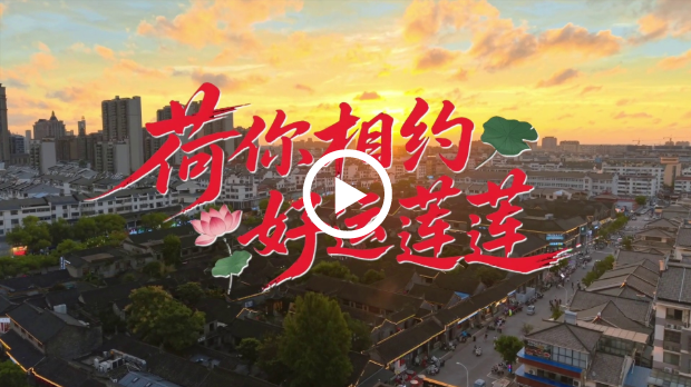 夏日限定美好！泰州姜堰的荷花市集火了
