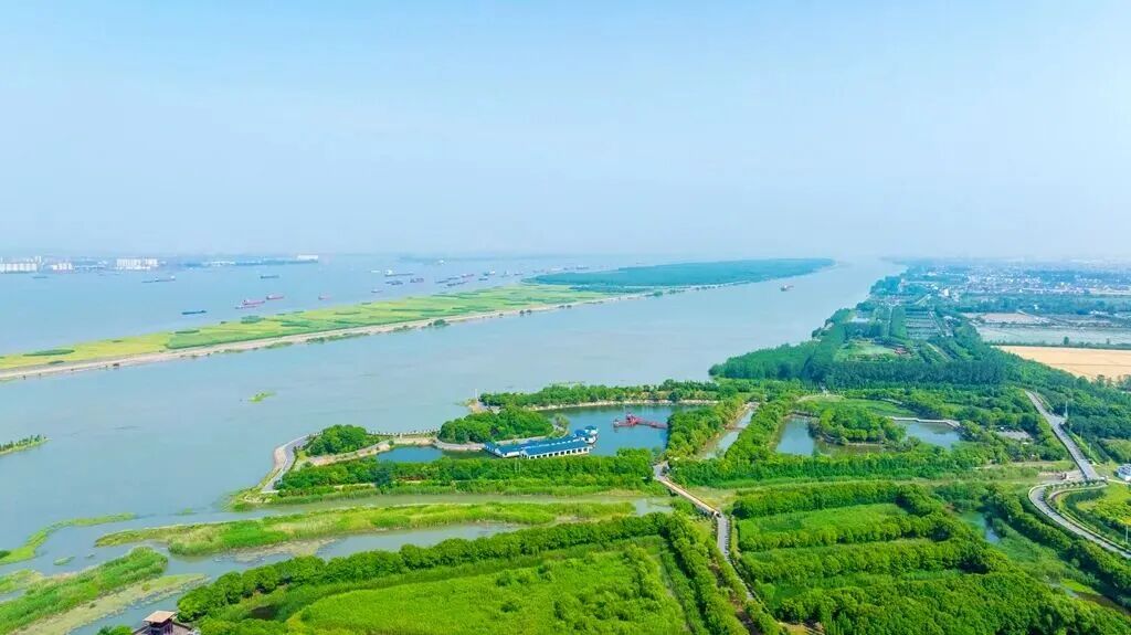 长江十年行 | 一江清水焕新颜，泰兴24公里江岸的蝶变之路
