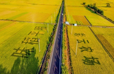 東海縣平明鎮(zhèn)四大板塊打造“一米暖陽(yáng)”黨建品牌