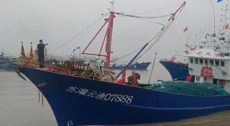 连云港地产鲜虾皮将大量上市