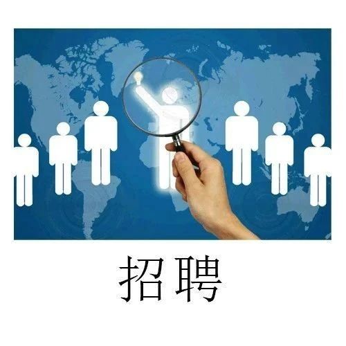 全年举行人力资源招聘会510场提供岗位2万余个