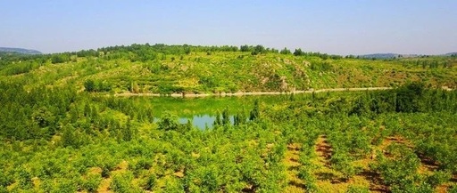 “两山理念”写就绿色增长诗篇  “三大战役”绘就大美生态风景