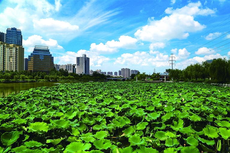 山美 水清 天更蓝——2021年全市生态环境建设成果走笔​
