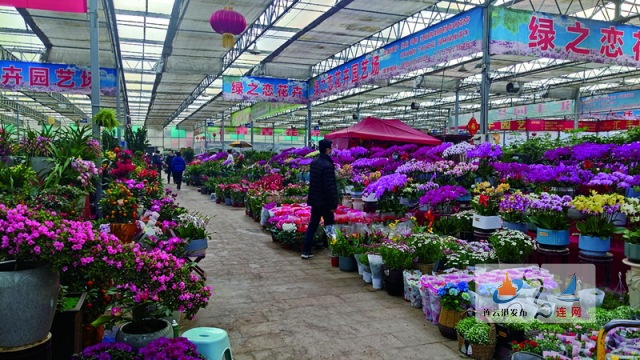 花卉行业的潮流风向标——东海鲜花店引领时尚新风尚