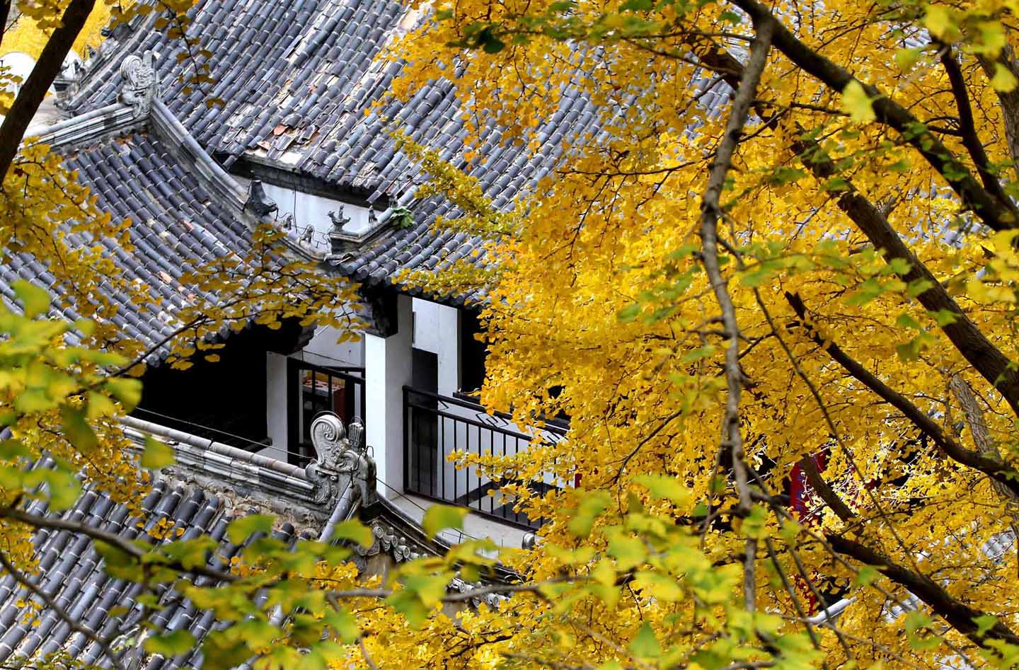 花果山综合提升项目昨日开工