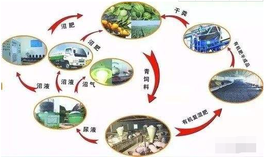 省农业农村厅来连调研畜禽粪污资源化利用工作