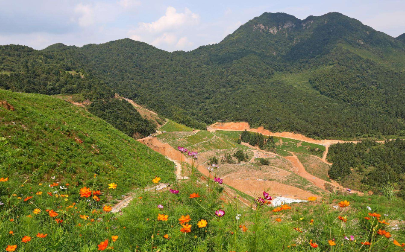 连云港市4家矿山获批省级绿色矿山称号