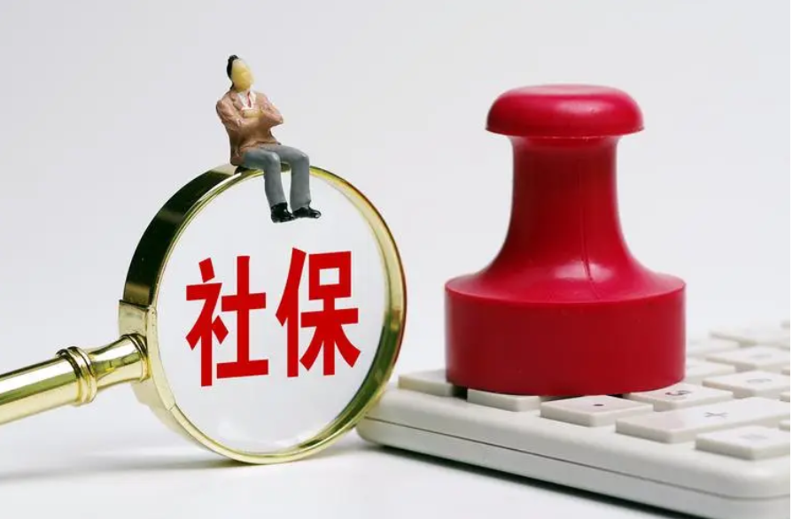 社保缴费工资基数申报3月6日结束