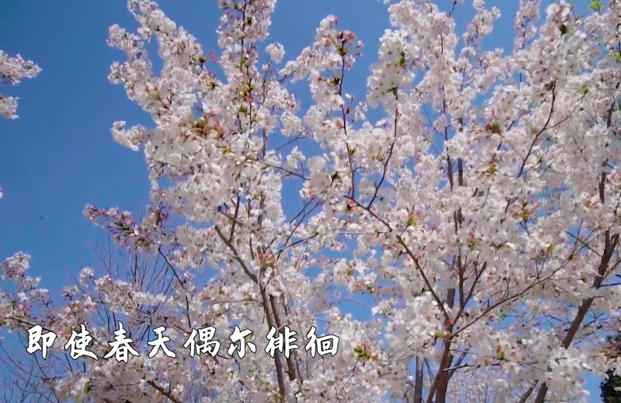 春风时节 期待美好