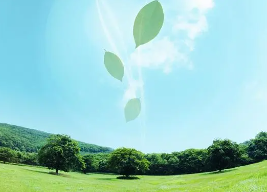 今年以来，PM2.5浓度同比下降，空气优良率上升 我市大气指标实现双改善
