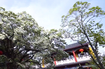 瞄准薄弱环节 创新管控手段 连云港高效治理大气污染守护蓝天