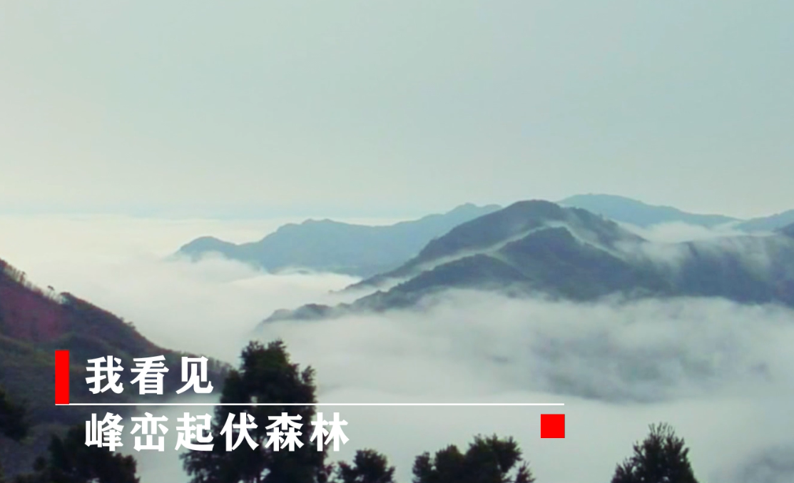 寻境山海  魅力港城