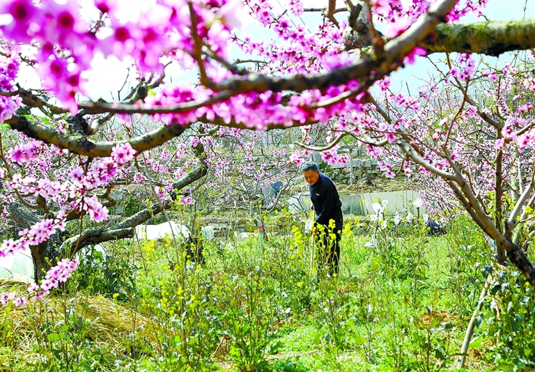 抓住时机开展春耕、春播、春管