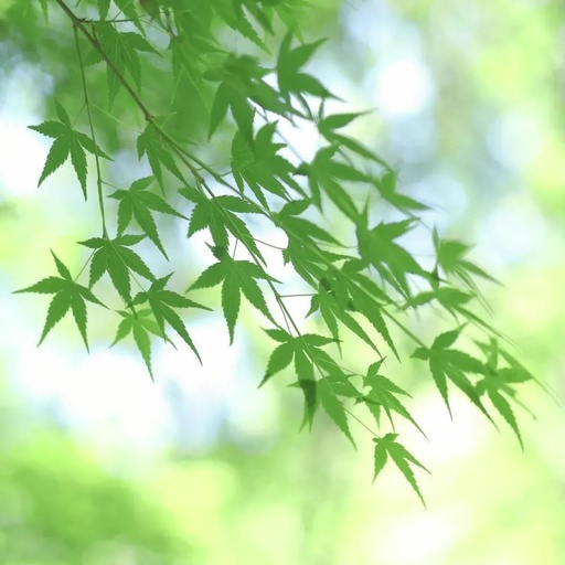 ​连云港市利用科技手段精准管控大气环境