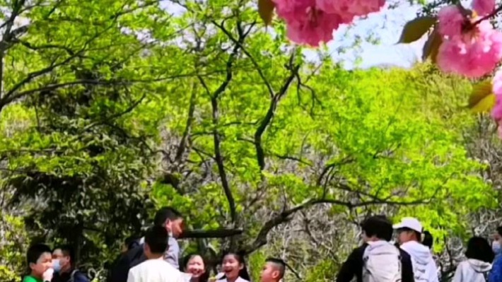 春光犹在 静待你来