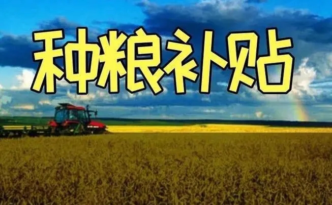 我市对实际种粮农民发放一次性补贴