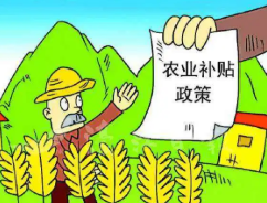 连云港市对实际种粮农民发放一次性补贴