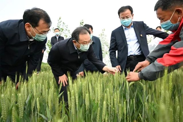 吴政隆在连云港调研:坚定信心决心 奋力攻坚克难 疫情要防住经济要稳住发展要安全