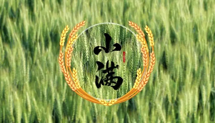 今日迎“小满” 港城已正式入夏