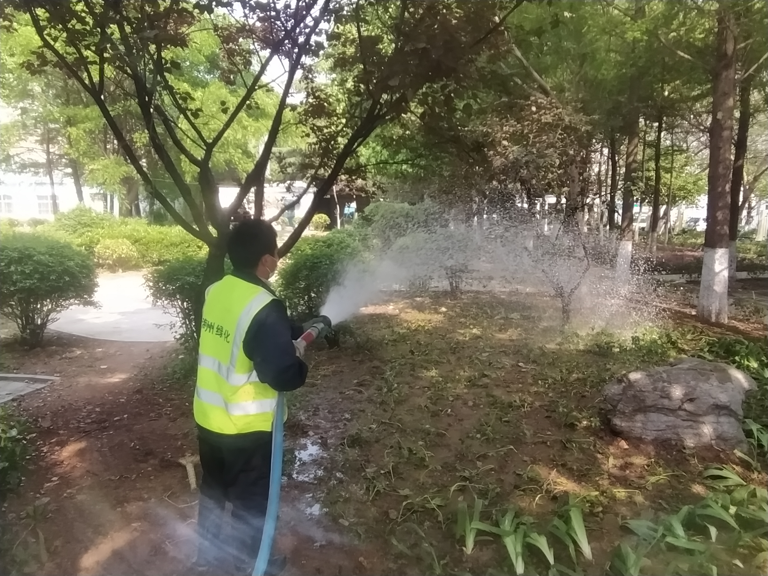 连云港为8600公顷园林绿地“解渴降温”
