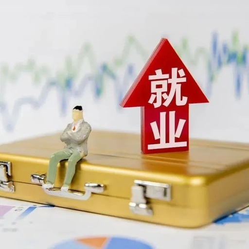 连云港市打出“组合拳”帮扶高校毕业生就业