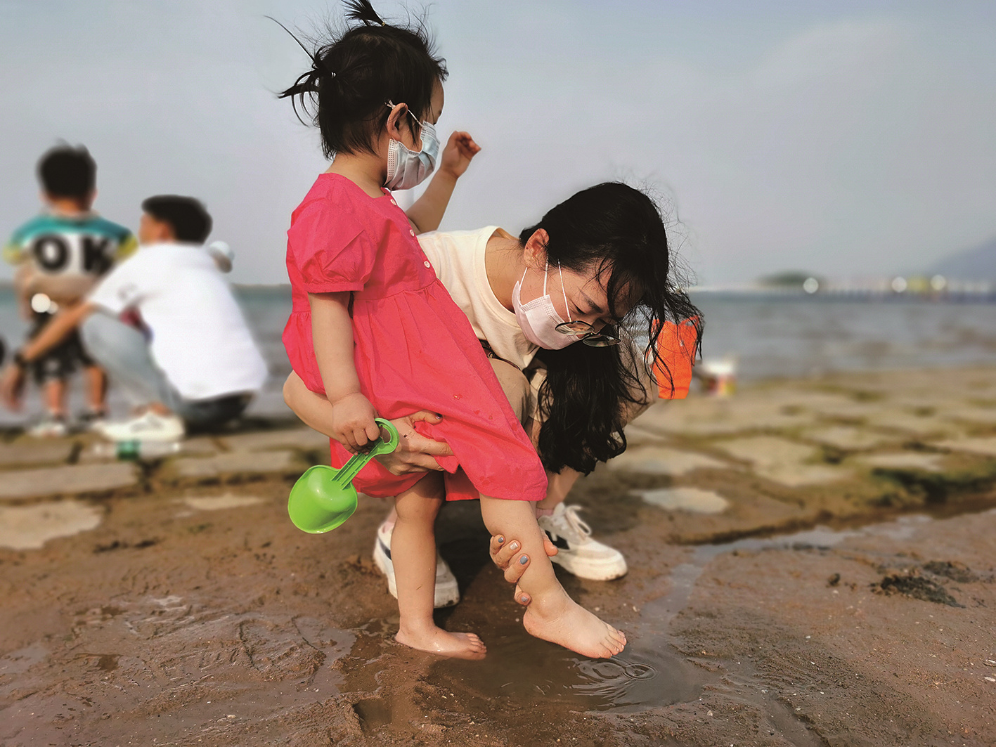 我们的节日·端午 | 家门口“赶海”  享受自由时光