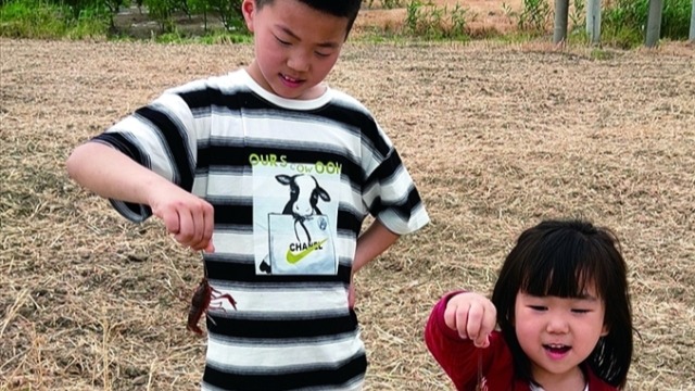 我们的节日·端午 | 带着孩子体验农家游玩乐趣