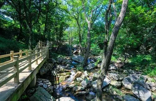 云台山景区提速提质提效推进重点项目建设 以奋发干劲“激发”华丽蜕变